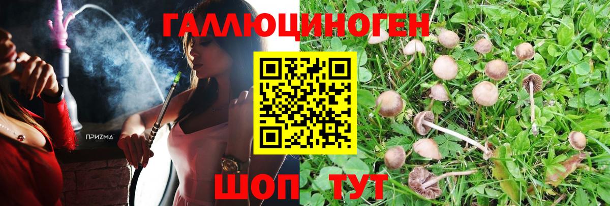 Алапаевск  Галлюциногенные грибы Magic Shrooms  Вход с VPN 